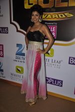 Debina Chaudhary at Gold Awards red carpet in Filmistan, Mumbai on 17th May 2014
